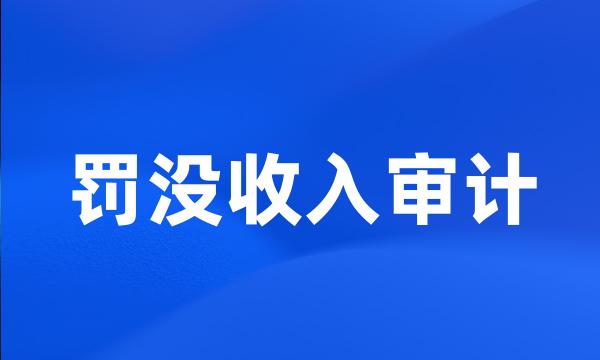 罚没收入审计