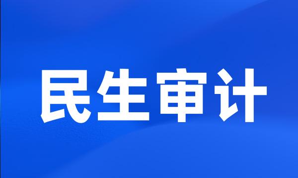 民生审计