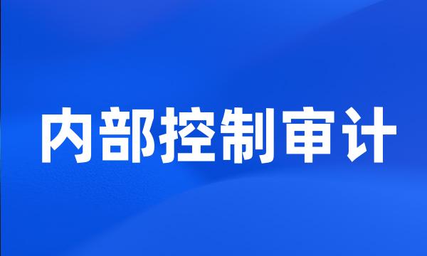 内部控制审计