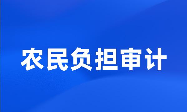 农民负担审计