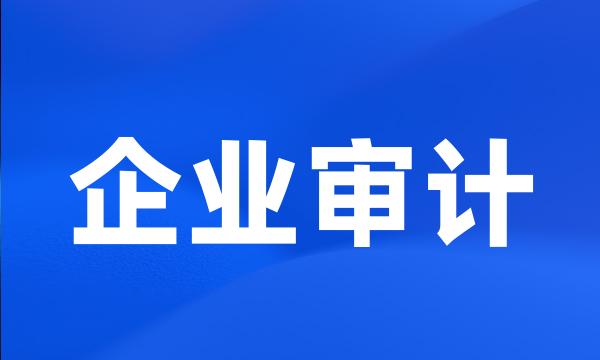 企业审计