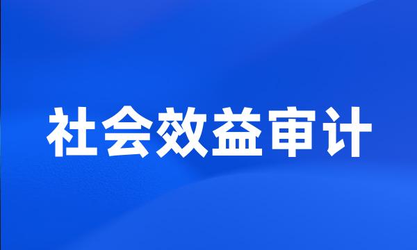 社会效益审计