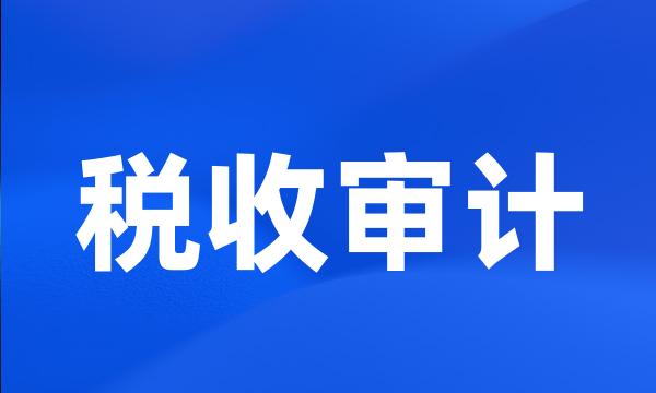 税收审计