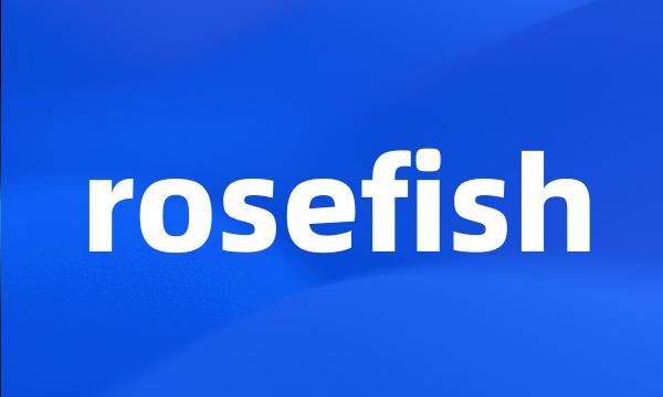 rosefish