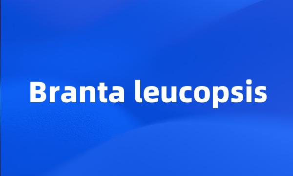 Branta leucopsis