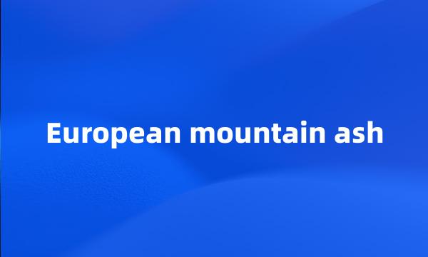 European mountain ash