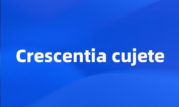 Crescentia cujete