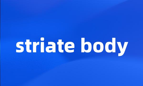 striate body