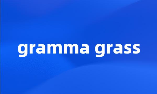 gramma grass