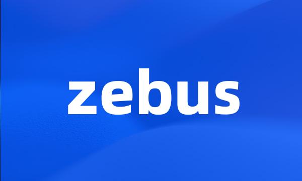 zebus