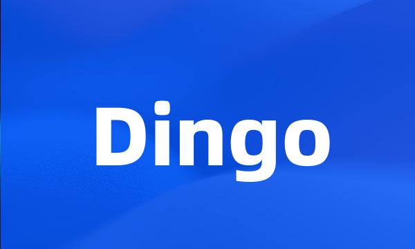 Dingo