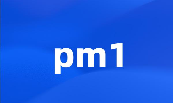 pm1