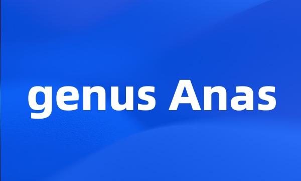 genus Anas