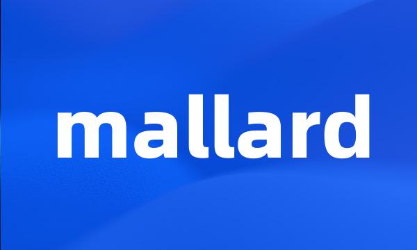 mallard