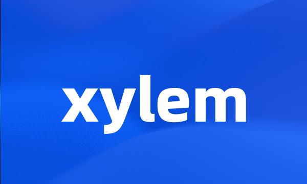 xylem