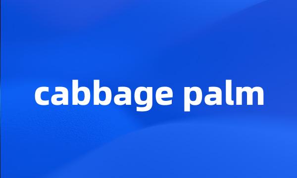 cabbage palm