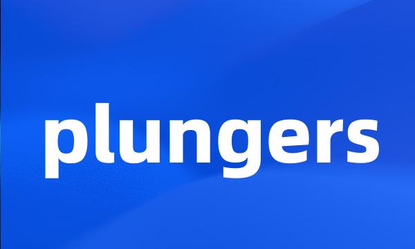 plungers
