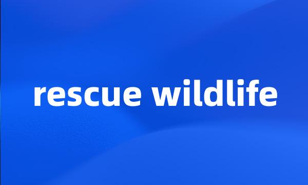 rescue wildlife