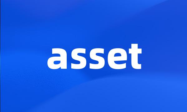 asset