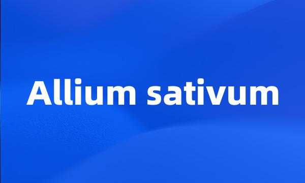 Allium sativum