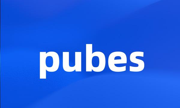 pubes