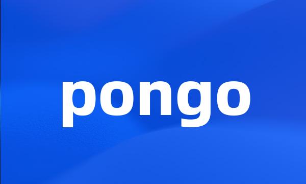 pongo