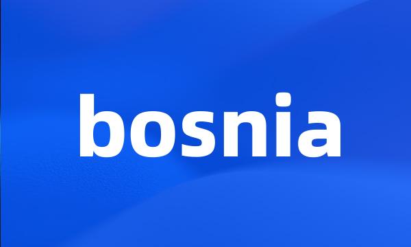 bosnia