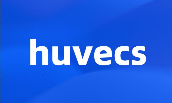 huvecs