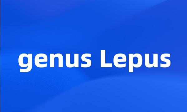 genus Lepus