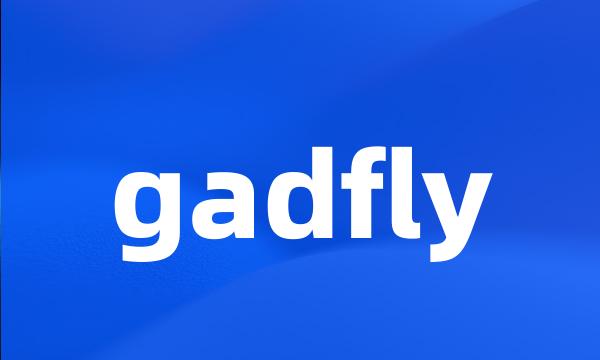 gadfly