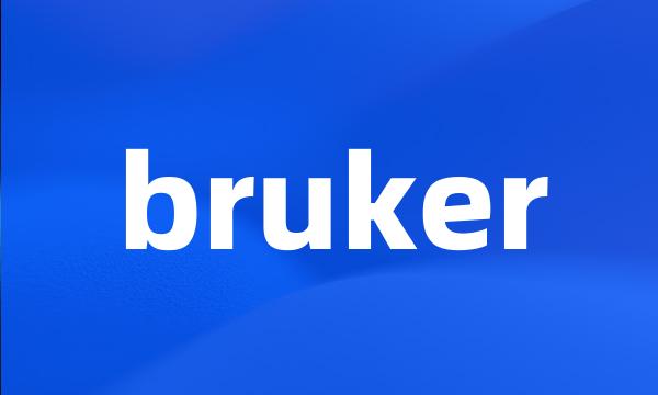 bruker