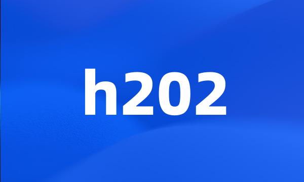 h202