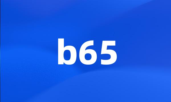 b65