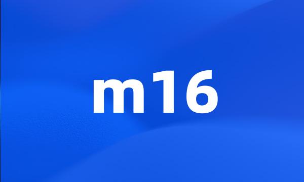 m16