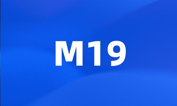 M19