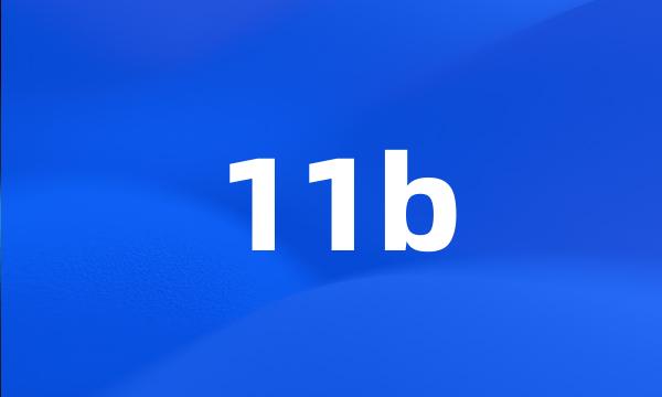 11b