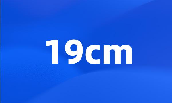 19cm