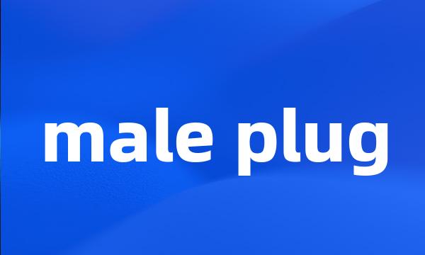 male plug
