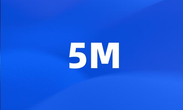 5M