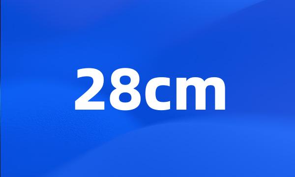 28cm