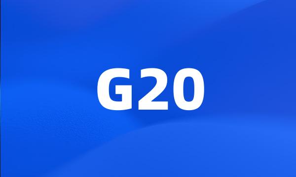 G20