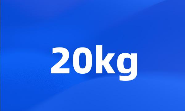 20kg