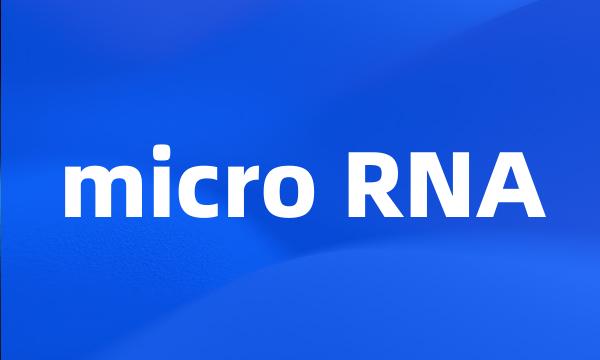 micro RNA