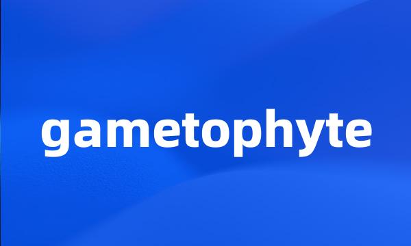 gametophyte