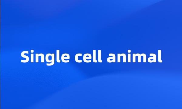 Single cell animal