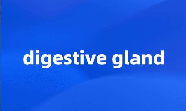 digestive gland