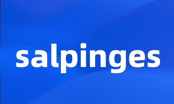 salpinges