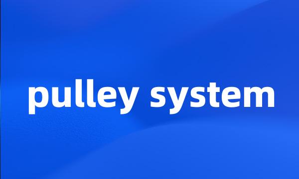 pulley system