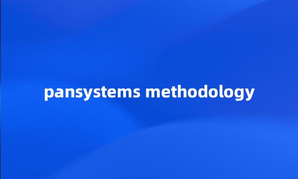 pansystems methodology