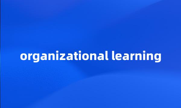 organizational learning